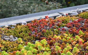 the cost of St Just In Roseland green roof installation