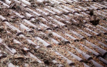 St Just In Roseland roof cleaning companies