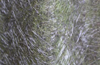 St Just In Roseland fibreglass roof work